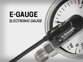 E-GAUGE